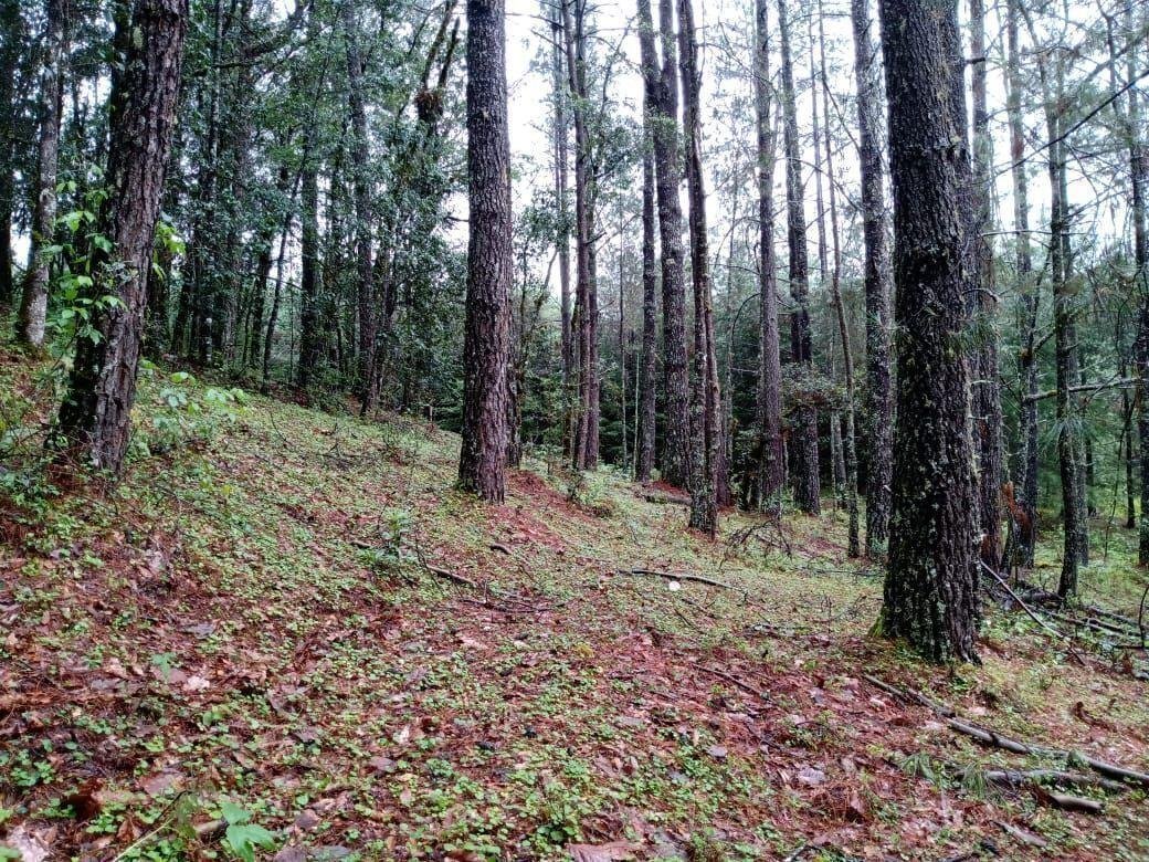 Land in Pinal del Marquesado, State of Mexico, Mexico 5 - 18766210