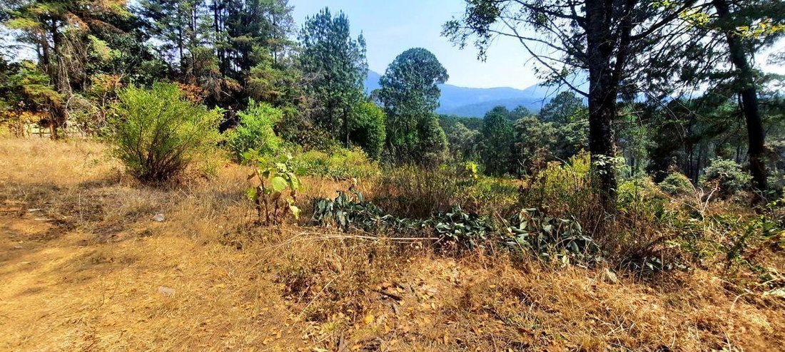 Land in Valle de Bravo, State of Mexico, Mexico 2 - 18766302