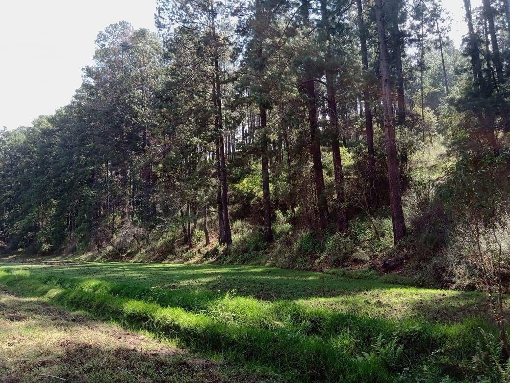 Terreno en San Lucas, Estado de México, México 5 - 18766175