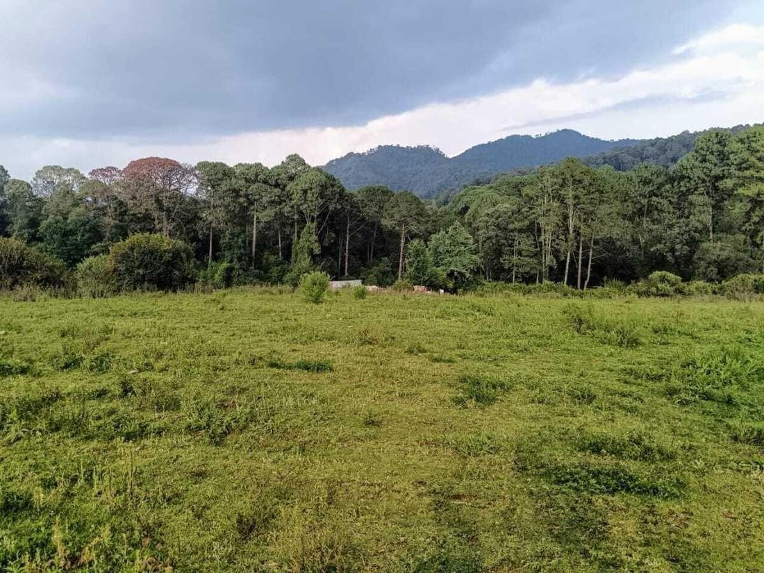 Land in Valle del Bravo, Bundesstaat Mexiko, Mexiko 5 - 18766226