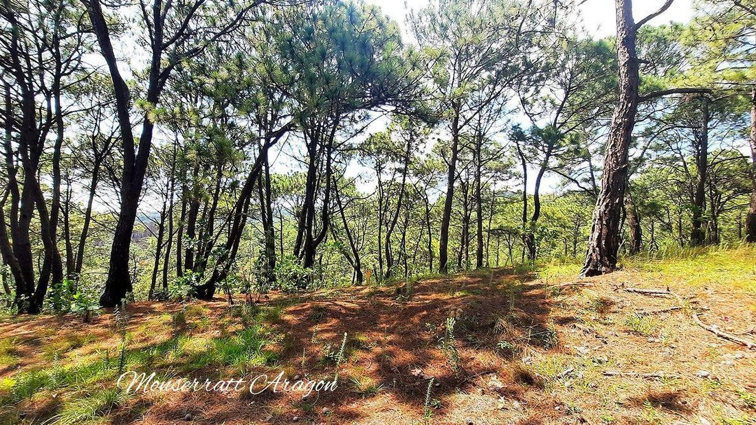 Terreno en Valle de Bravo, Estado de México, México 3 - 18766110