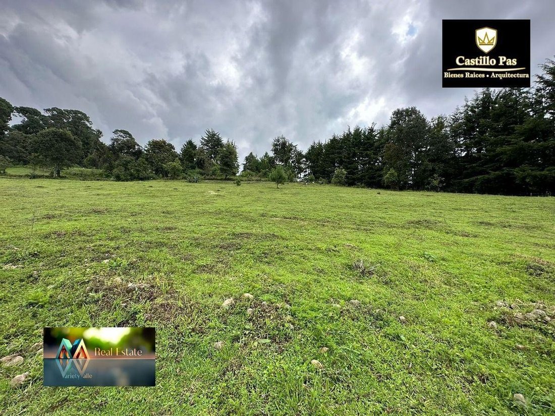 Land in Valle del Bravo, Bundesstaat Mexiko, Mexiko 1 - 18766136