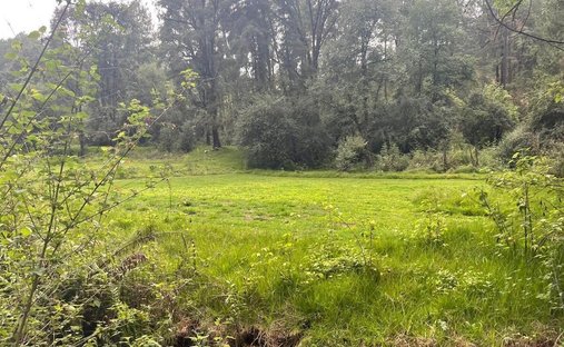 Land in Los Saucos, State of Mexico, Mexico 1