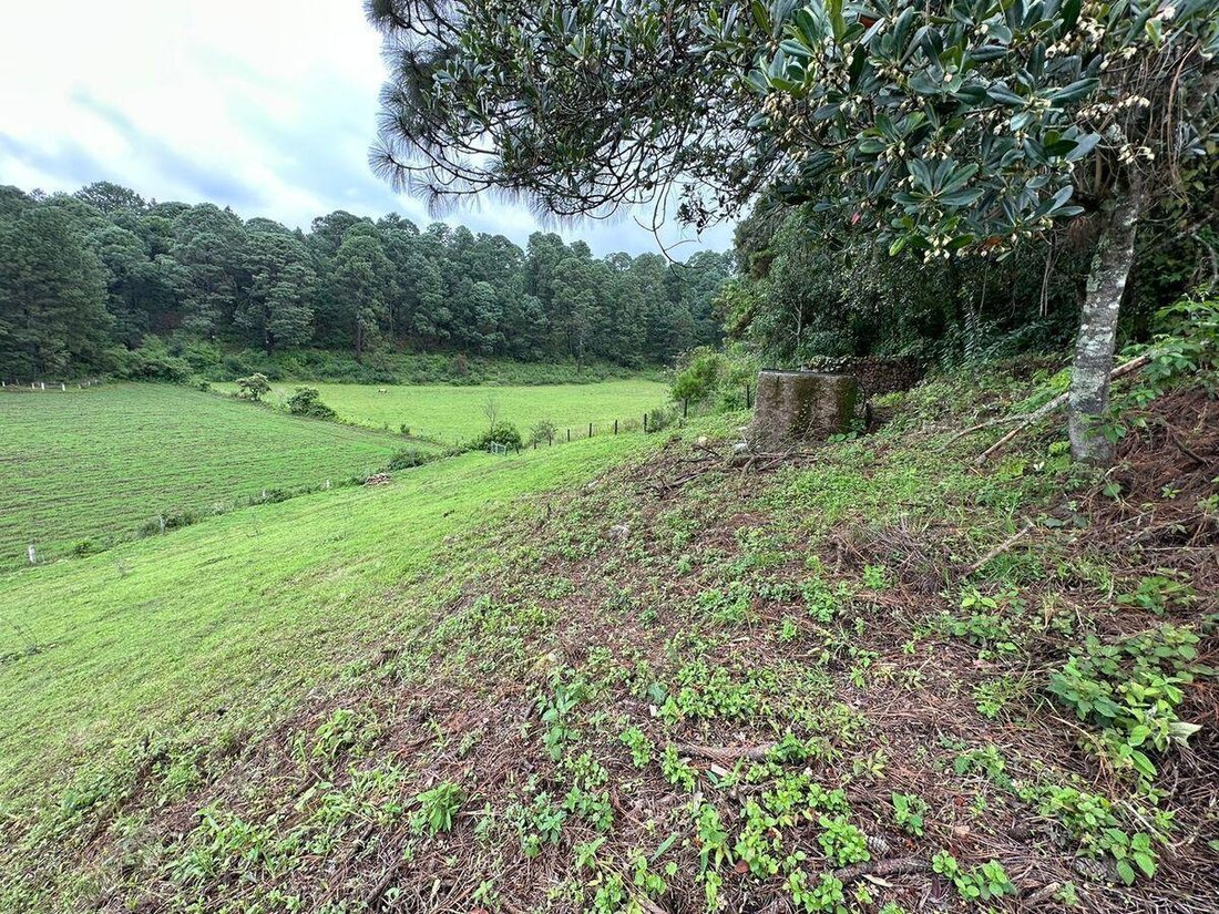 Land in Valle del Bravo, Bundesstaat Mexiko, Mexiko 5 - 18766136