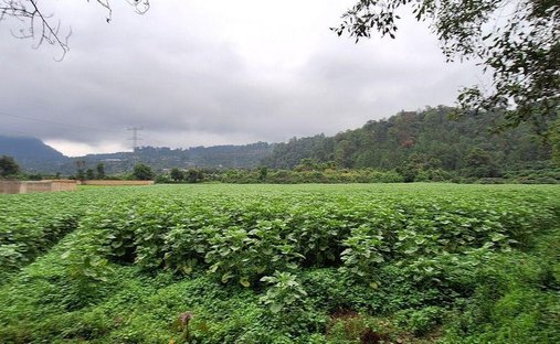 Terreno en Polvillos, Estado de México, México 1
