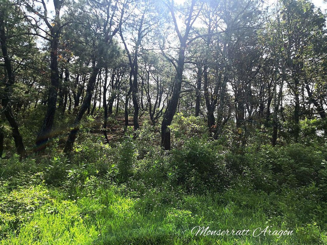 Terreno en Valle de Bravo, Estado de México, México 2 - 18766110