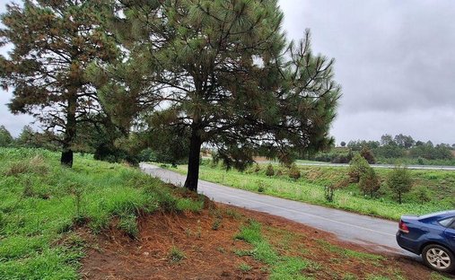 Land in Sabana de Taborda 1ra. Sección, State of Mexico, Mexico 1