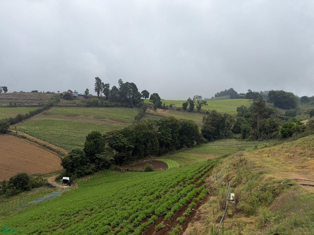 Terreno a Cantone di Alfaro Ruiz, Provincia di Alajuela, Costa Rica 3 - 18269560