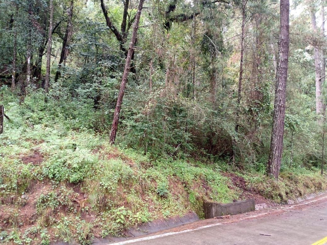 Land in Pinal del Marquesado, State of Mexico, Mexico 3 - 18766210