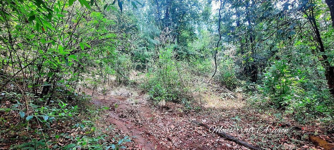 Land in Valle de Bravo, State of Mexico, Mexico 1 - 18766153