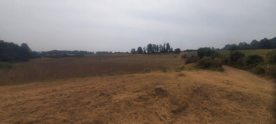 Land in El Castellano, State of Mexico, Mexico 4 - 18766112