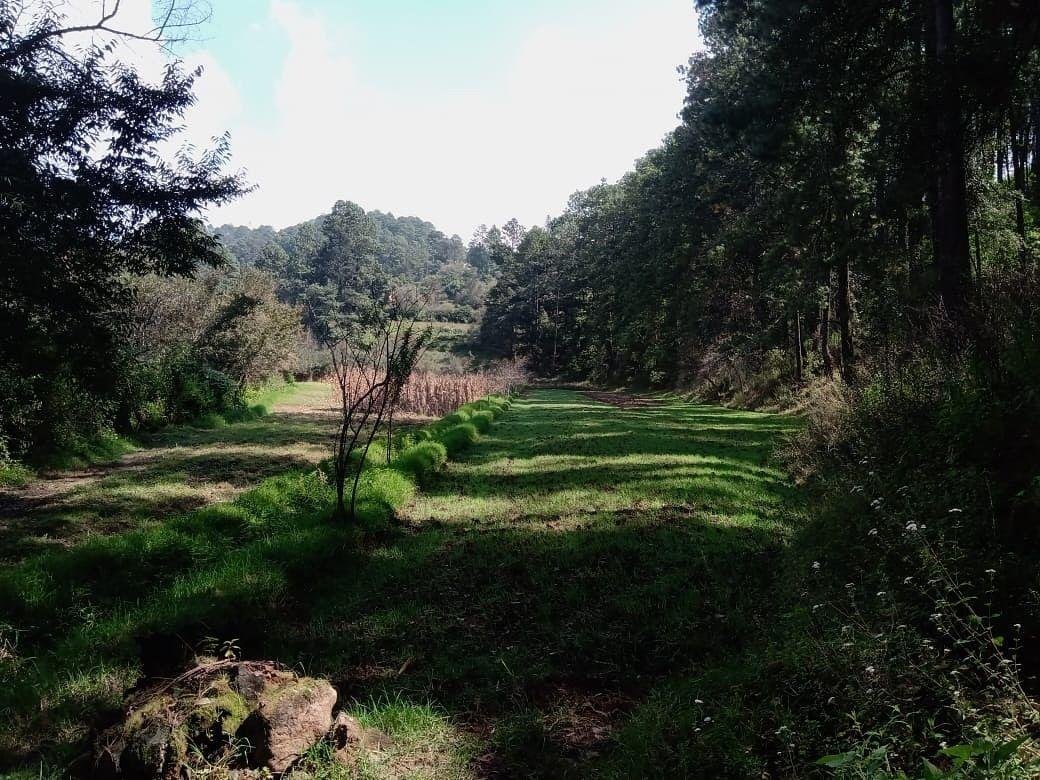 Terreno en San Lucas, Estado de México, México 3 - 18766175