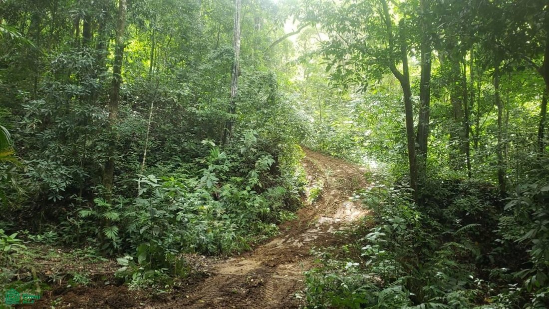 Land in Garabito, Costa Rica 5 - 17811437