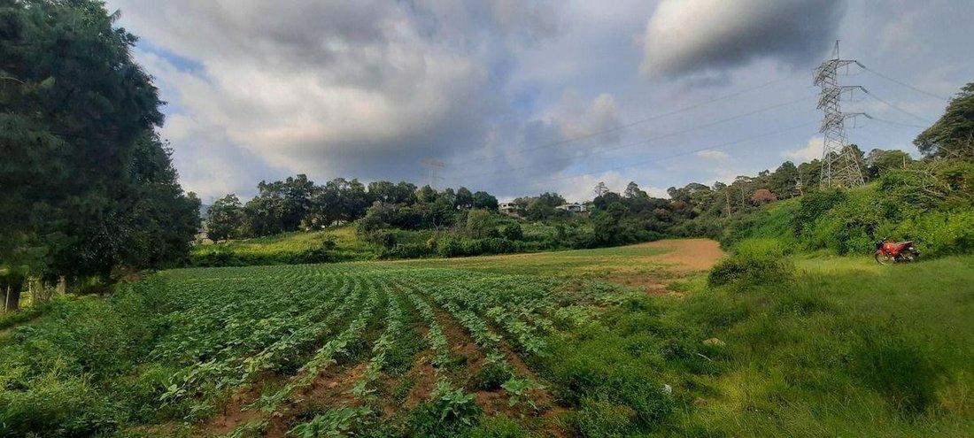 Terrain à Santa María Pipioltepec, État de Mexico, Mexique 4 - 18766232