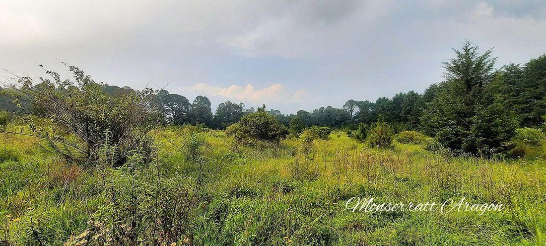 Land in Tehuastepec, Bundesstaat Mexiko, Mexiko 5 - 18766280