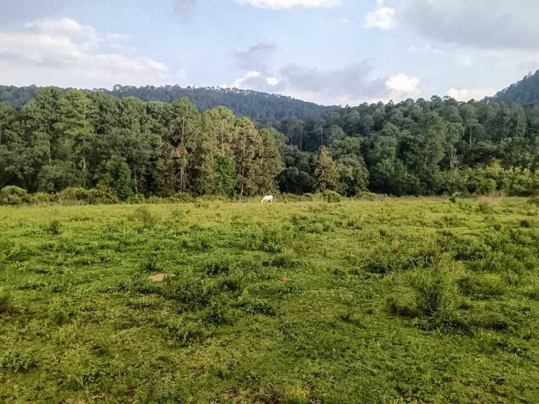 Land in Valle del Bravo, Bundesstaat Mexiko, Mexiko 2 - 18766226