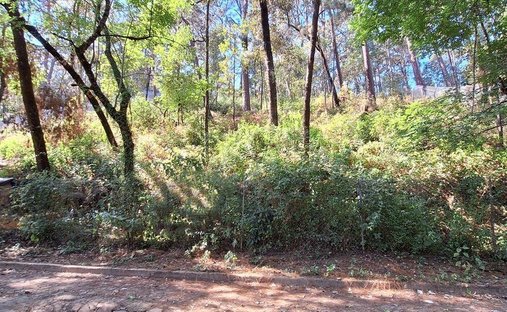 Terrain à Valle de Bravo, État de Mexico, Mexique 1