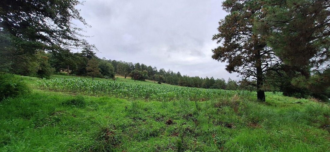 Land in Sabana de Taborda 1ra. Sección, State of Mexico, Mexico 2 - 18766183