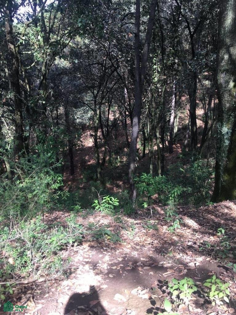 Terreno en Villa del Carbón, Estado de México, México 4 - 17815113