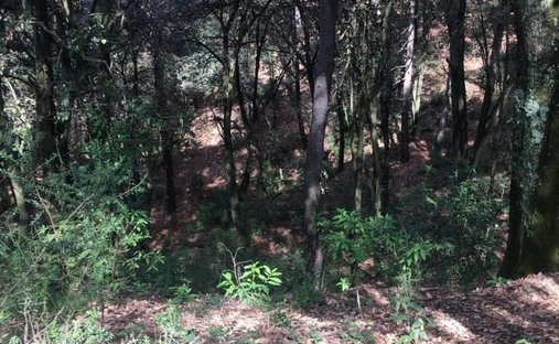 Land in Villa del Carbón, Bundesstaat Mexiko, Mexiko 1