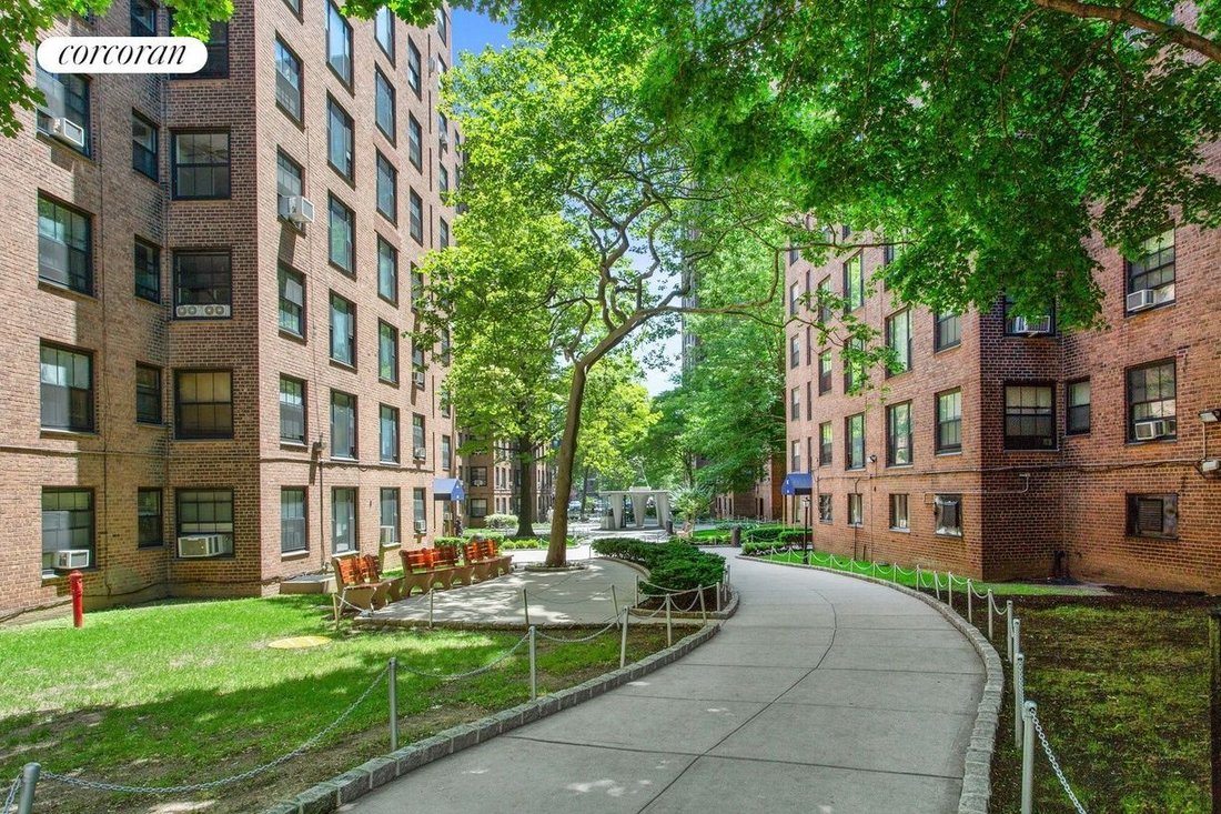 Co Op in New York, New York, United States 3 - 18763506