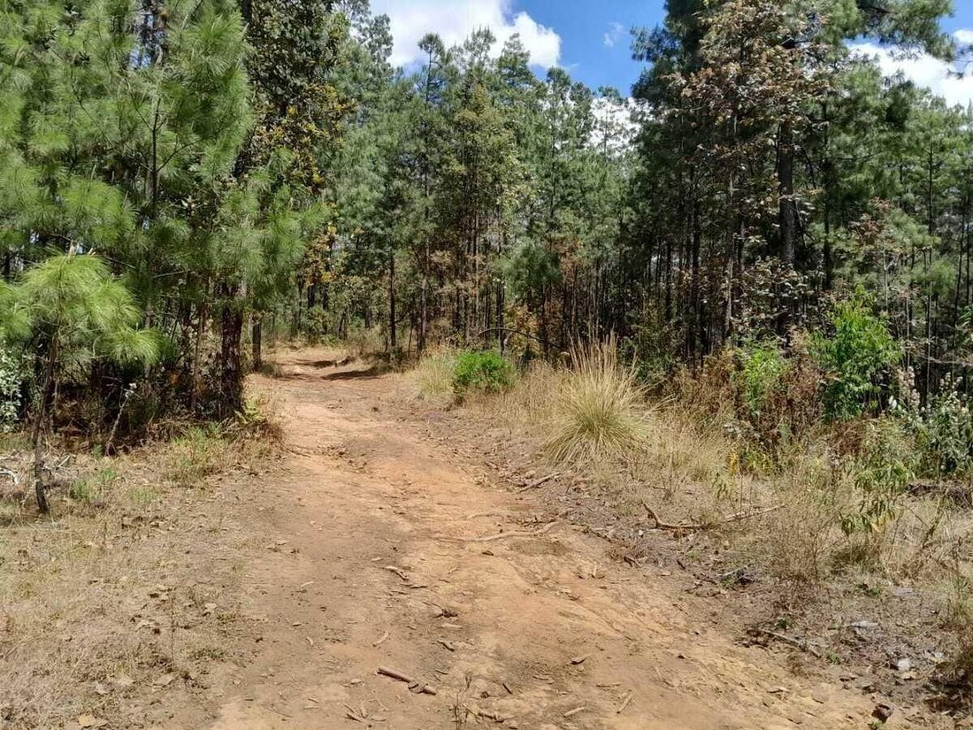 Terrain à Amanalco de Becerra, État de Mexico, Mexique 1 - 18766203