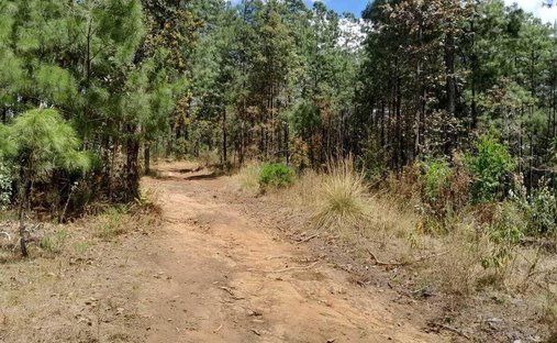 Land in Amanalco de Becerra, State of Mexico, Mexico 1