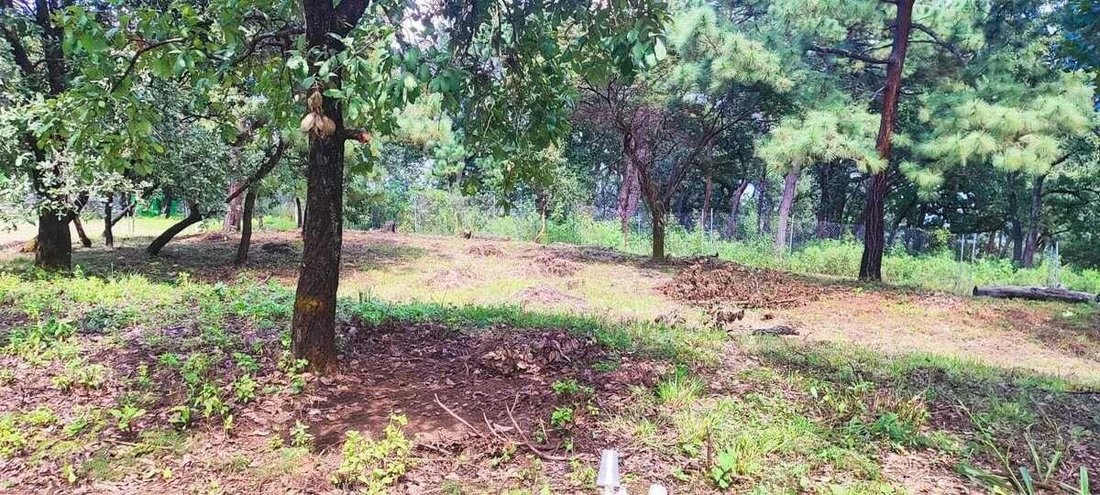 Terreno en Valle de Bravo, Estado de México, México 5 - 18766185