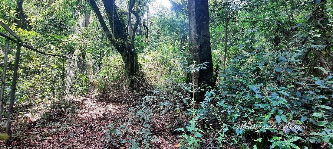 Land in Valle de Bravo, State of Mexico, Mexico 4 - 18766153