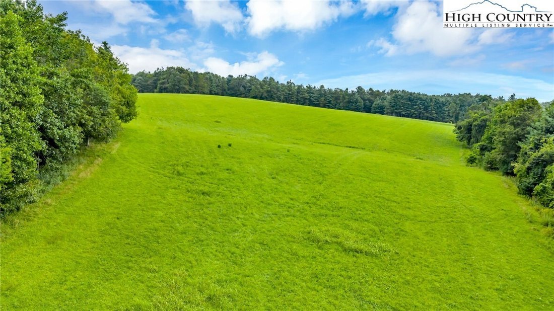 Land in Ennice, North Carolina, Vereinigte Staaten 1 - 18762132