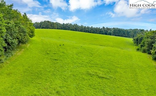 Land in Ennice, North Carolina, Vereinigte Staaten 1