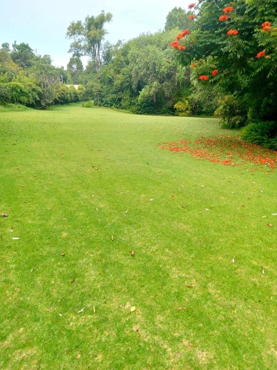Land in Santa María Pipioltepec, State of Mexico, Mexico 5 - 18766313