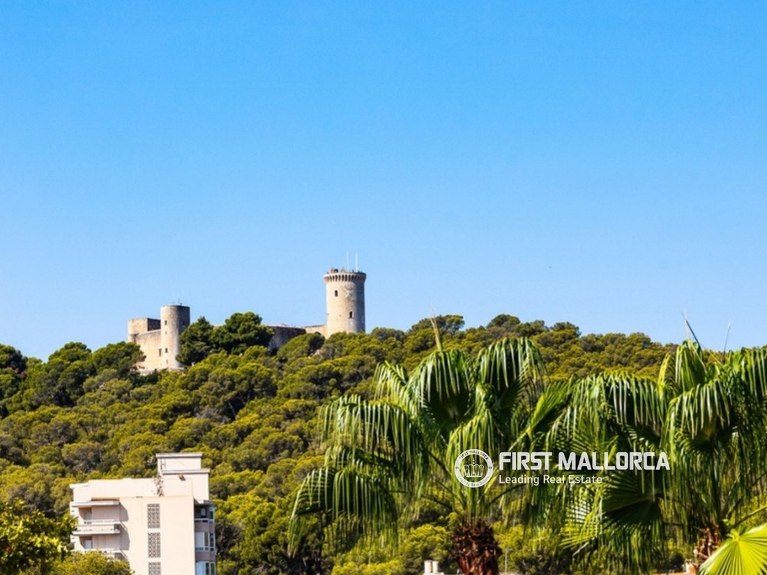 Apartment in Palma, Balearic Islands, Spain 2 - 18765510