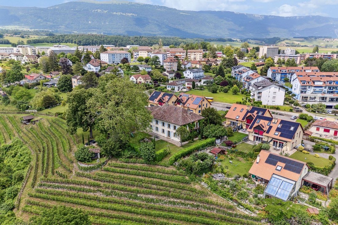 Maison à Orbe, Vaud, Suisse 2 - 18762429