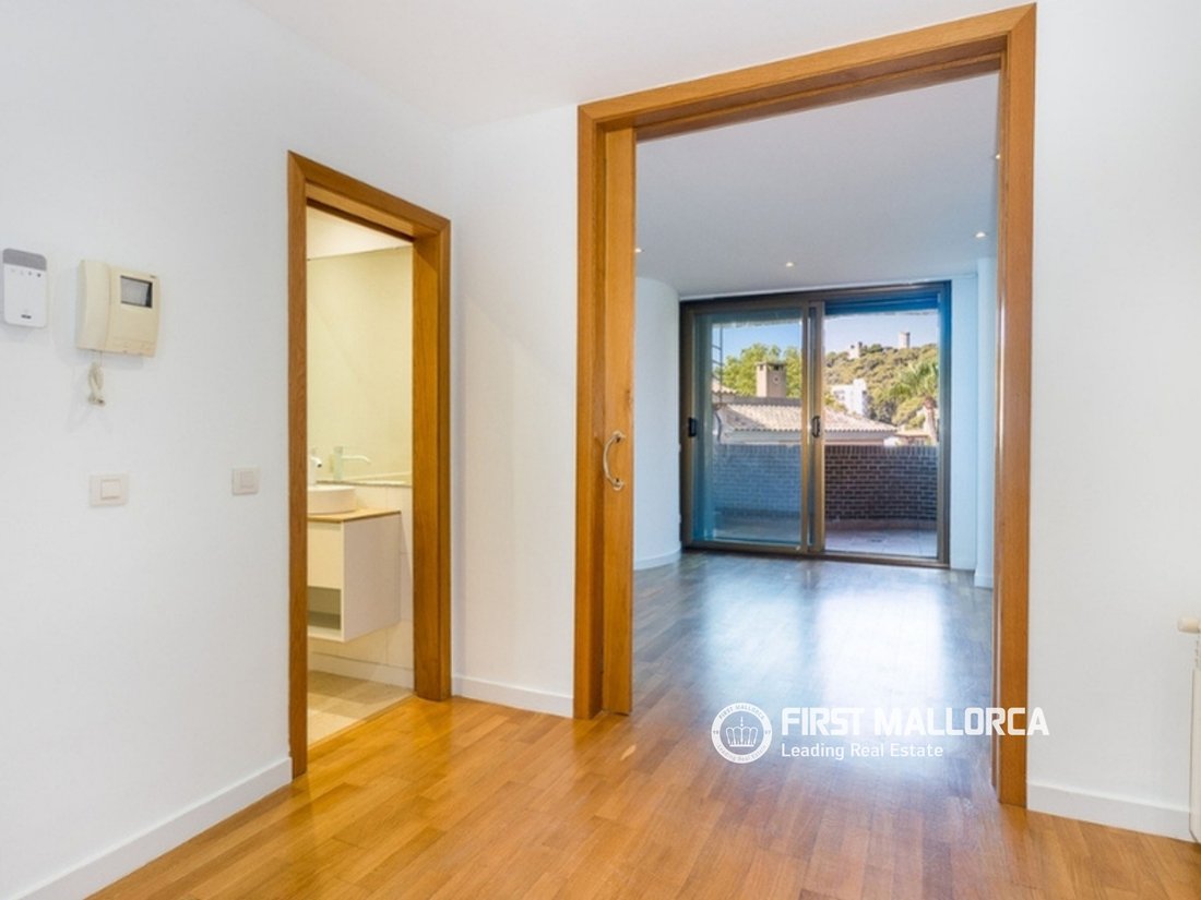 Apartment in Palma, Balearic Islands, Spain 4 - 18765510
