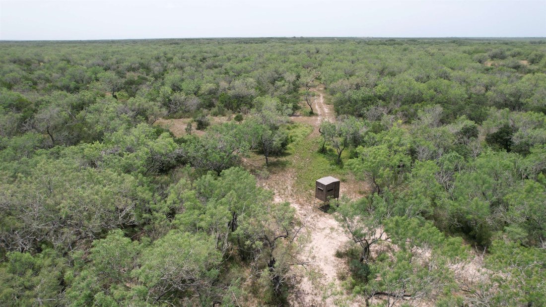 Terreno a Benavides, Texas, Stati Uniti 3 - 18762114