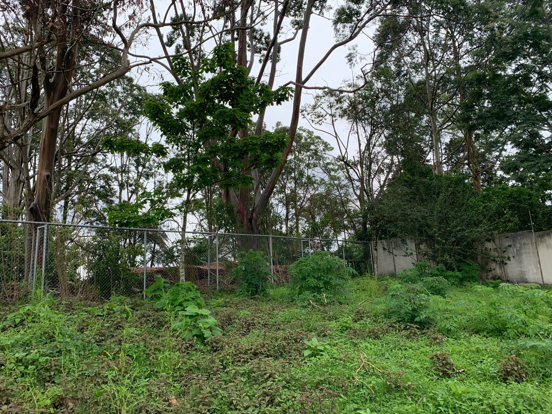 Land in Sabanilla, San José Province, Costa Rica 4 - 18762136