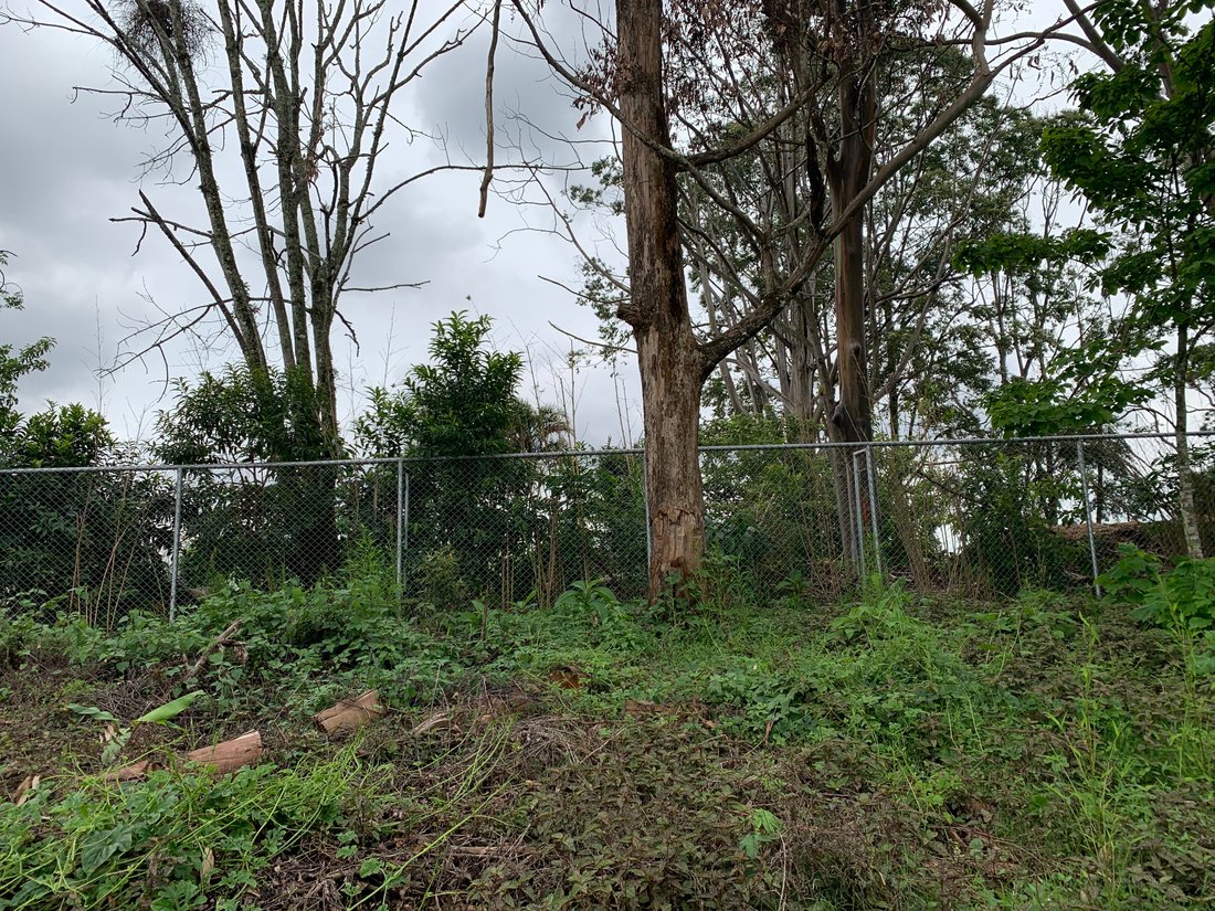 Land in Sabanilla, San José Province, Costa Rica 2 - 18762136