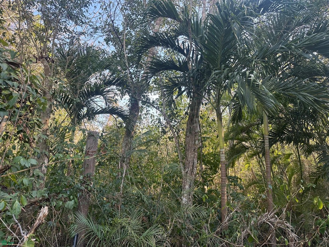 Land in Rancho Viejo, Quintana Roo, Mexico 1 - 18243921