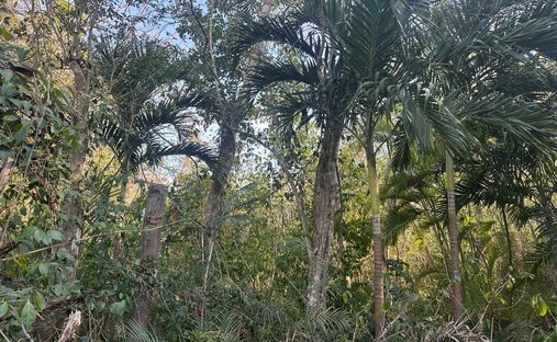 Land in Rancho Viejo, Quintana Roo, Mexico 1