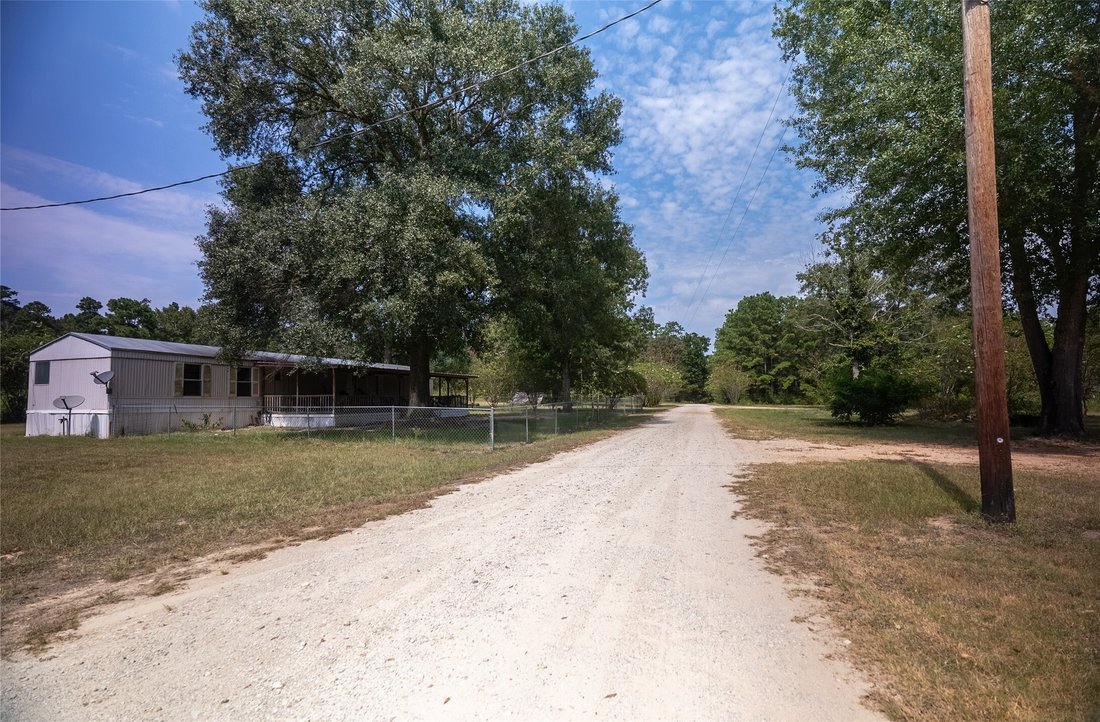 Farm Ranch in Willis, Texas, Vereinigte Staaten 3 - 18762124