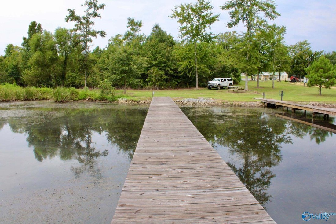 Otros en Langston, Alabama, Estados Unidos 5 - 18764284