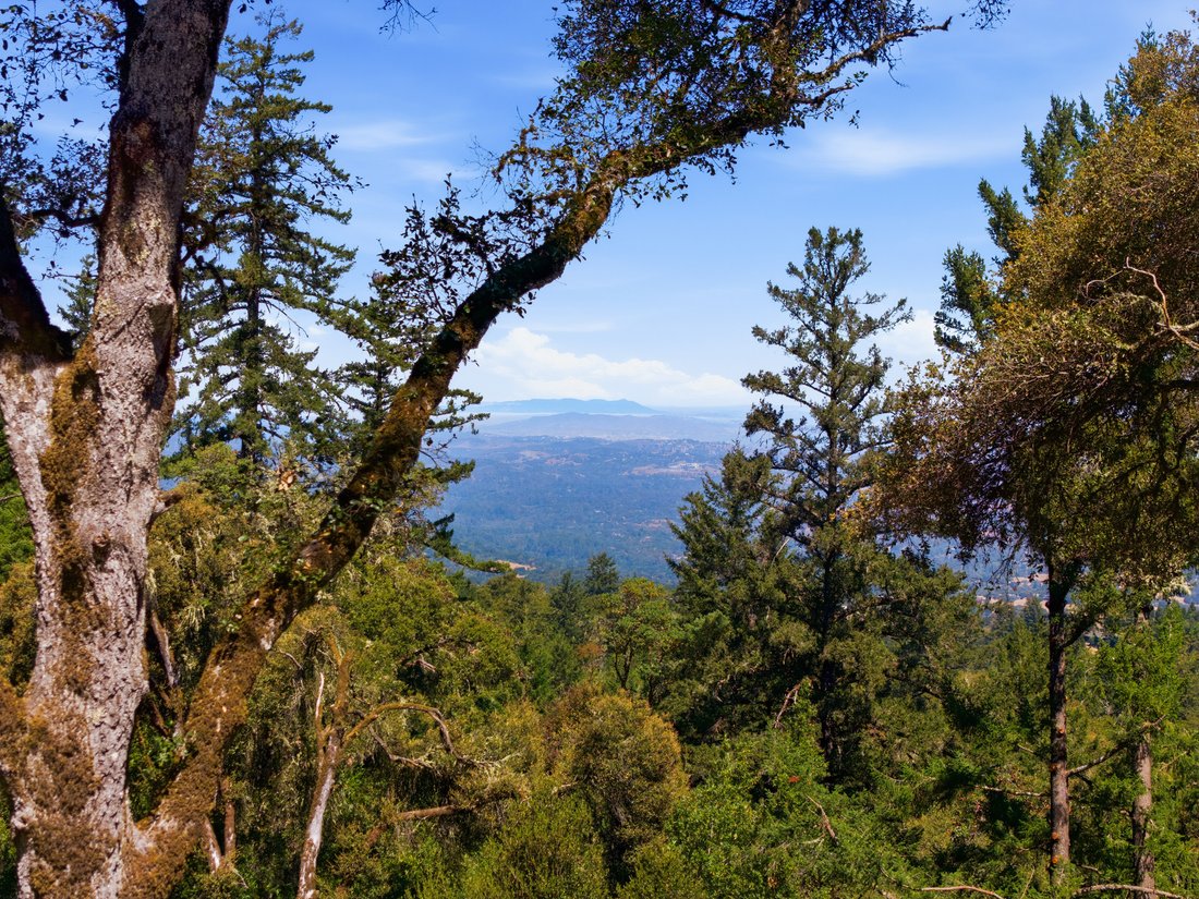 Terreno a Palo Alto, California, Stati Uniti 1 - 17972807