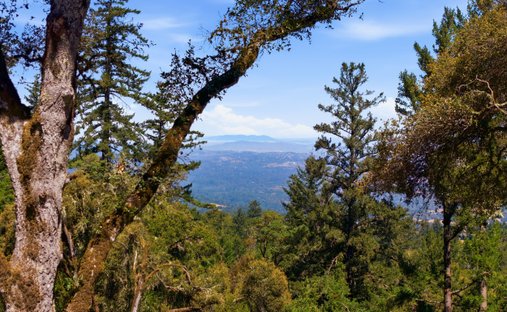 Land in Palo Alto, California, United States 1