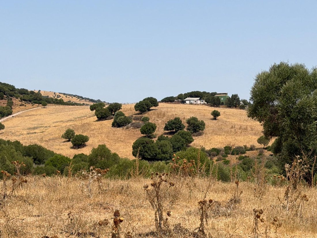 Farm Ranch in San Martin del Tesorillo, Andalusia, Spain 1 - 18762443