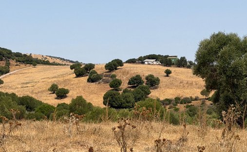 Farm Ranch in San Martín del Tesorillo, Andalusien, Spanien 1