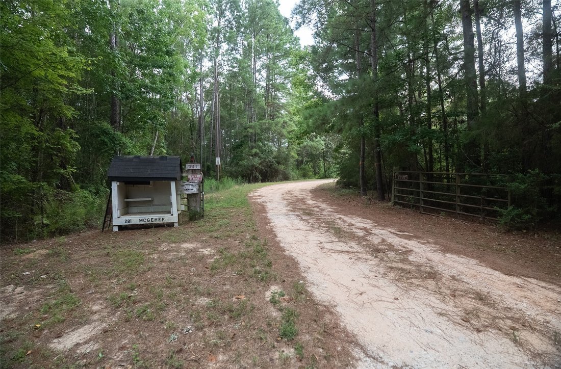 Farm Ranch in Willis, Texas, Vereinigte Staaten 2 - 18762124