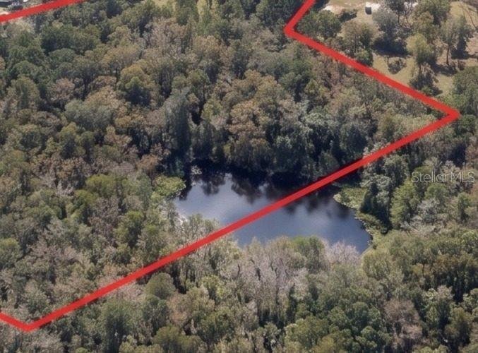 Land in Ocala, Florida, Vereinigte Staaten 4 - 18751866
