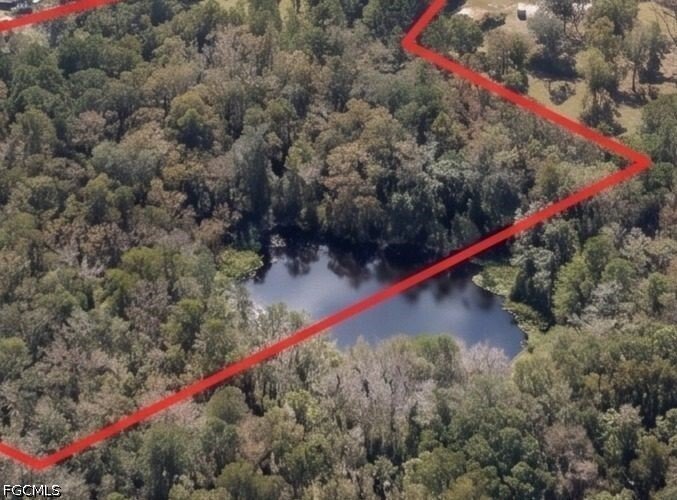 Terreno en Ocala, Florida, Estados Unidos 4 - 18751875