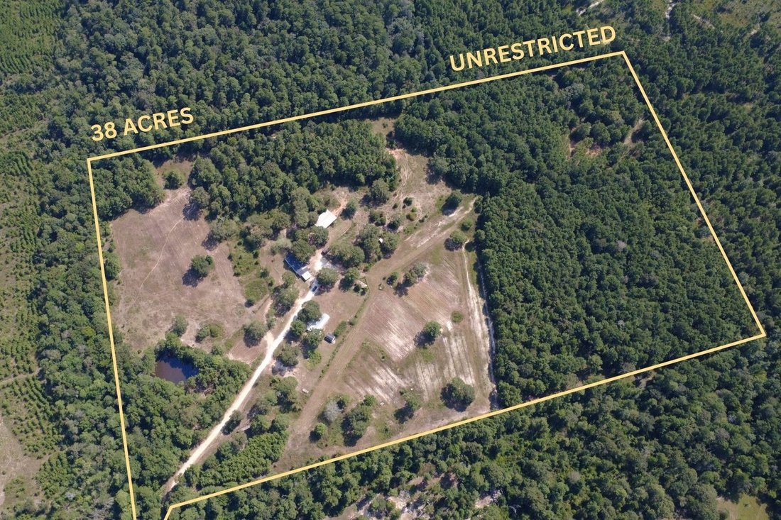Farm Ranch in Willis, Texas, Vereinigte Staaten 1 - 18762124